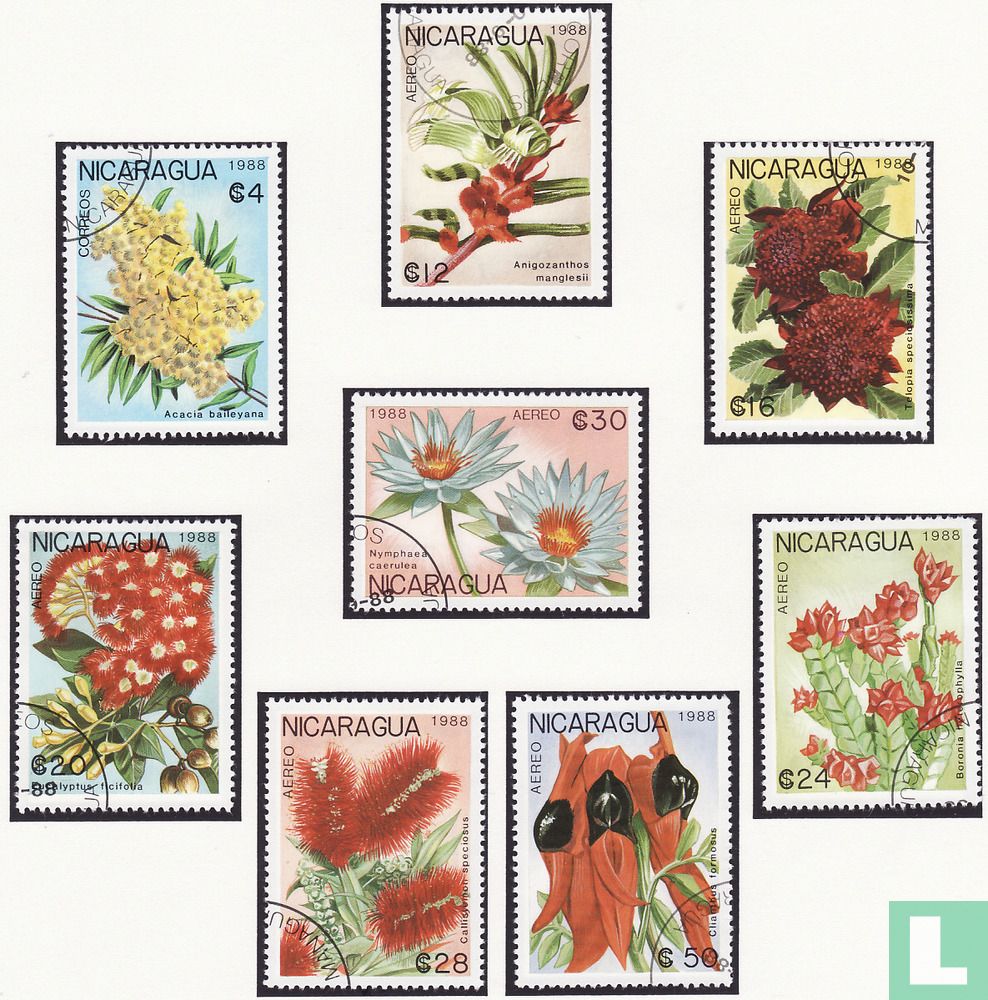 Fleurs