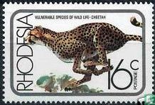 Wildlife