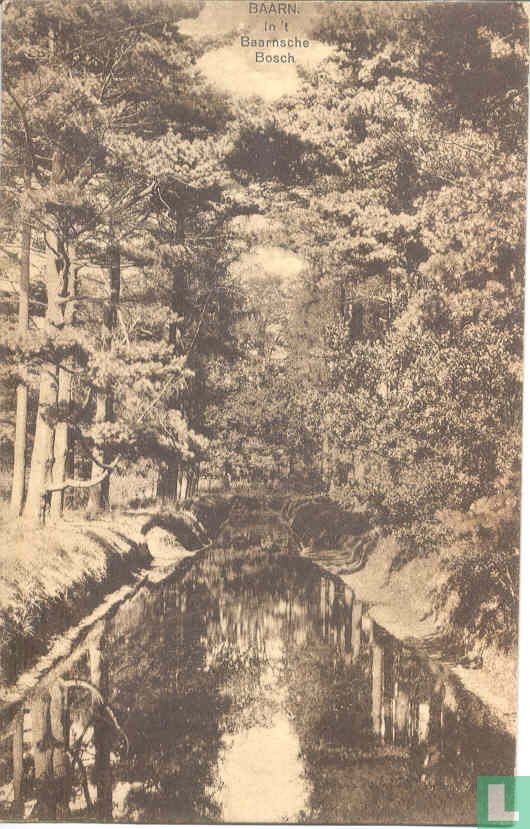 Baarn In 't Baarnsche Bosch