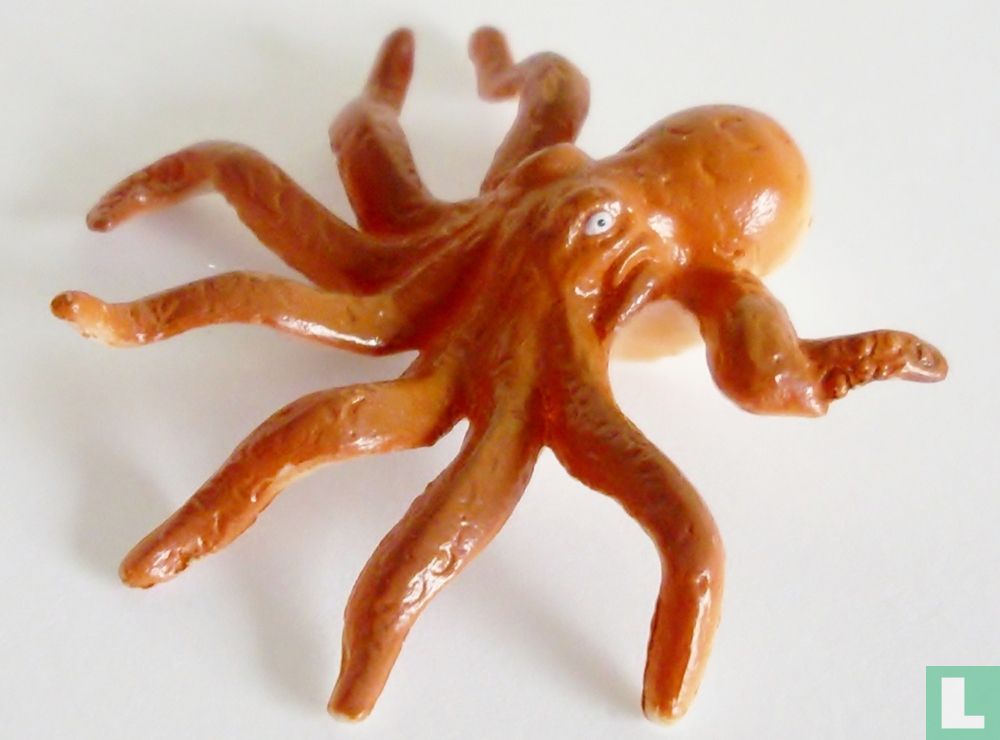 Octopus