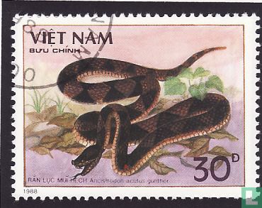 Poisonous snakes