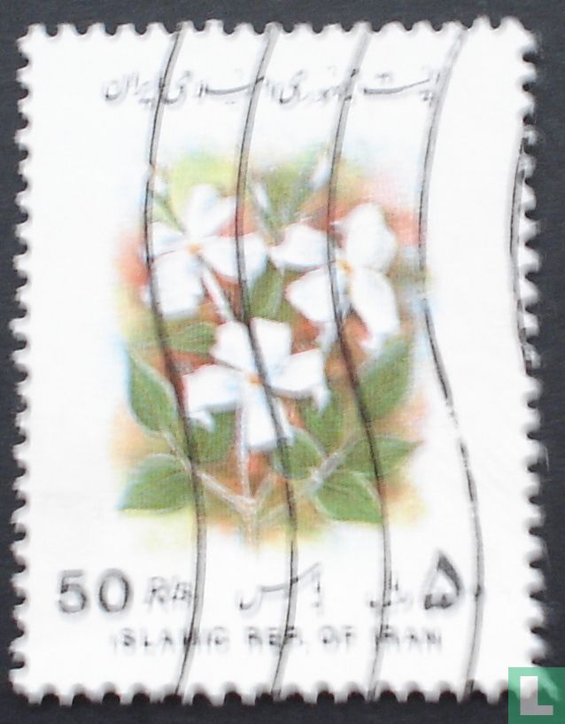 Fleurs