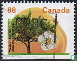 Fruit trees