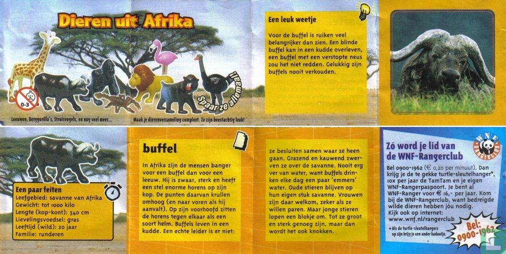 Kafferbuffel