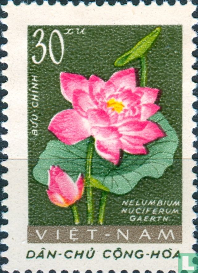Fleurs