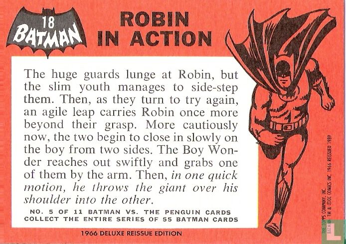 Robin In Action