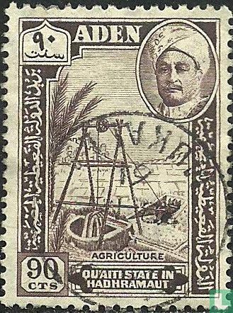 L'agriculture