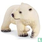 Bébé ours polaire