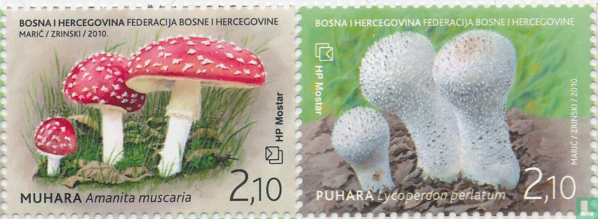 Paddenstoelen