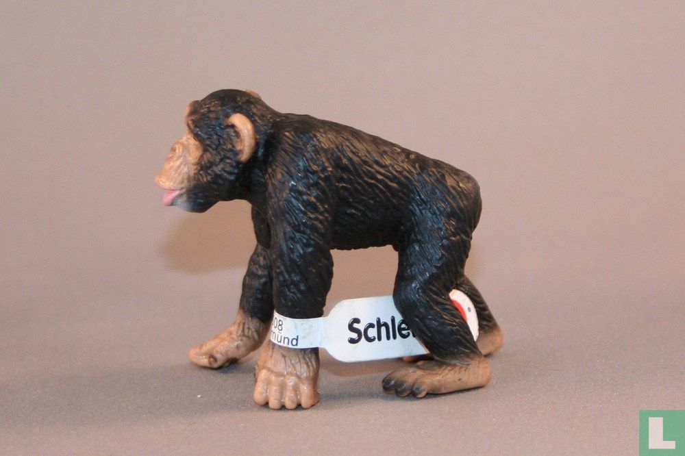 Chimpanzee man