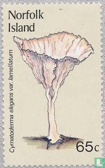 Paddenstoelen