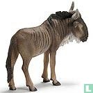 Wildebeest