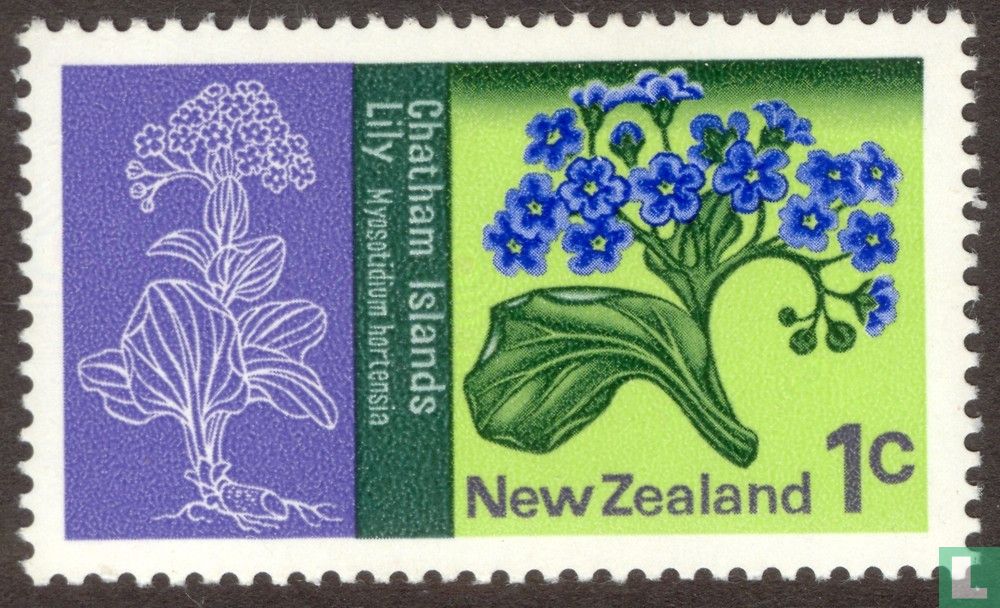 Lis