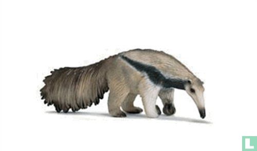 Anteater
