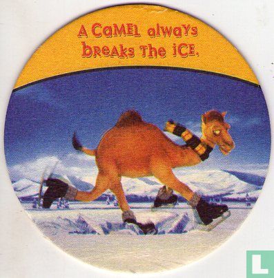 A Camel always breaks the ice
