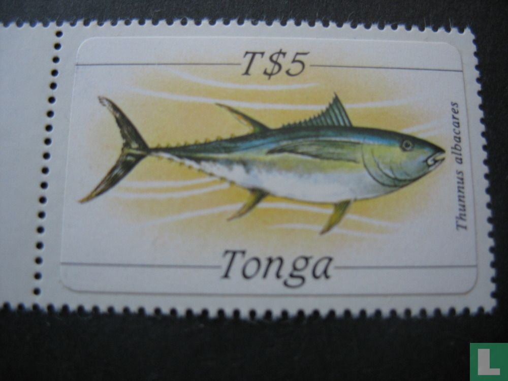 Thunnus albacares