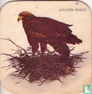 Vogels: Golden Eagle