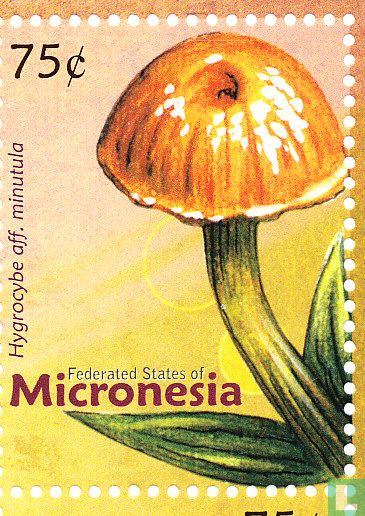 Mushrooms