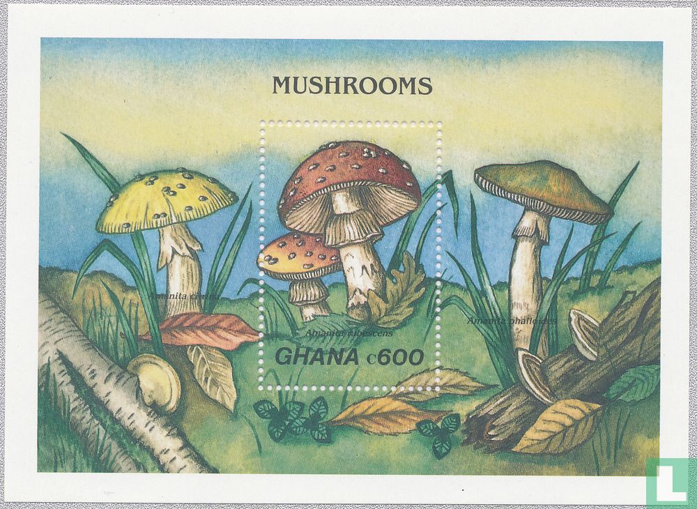 Champignons