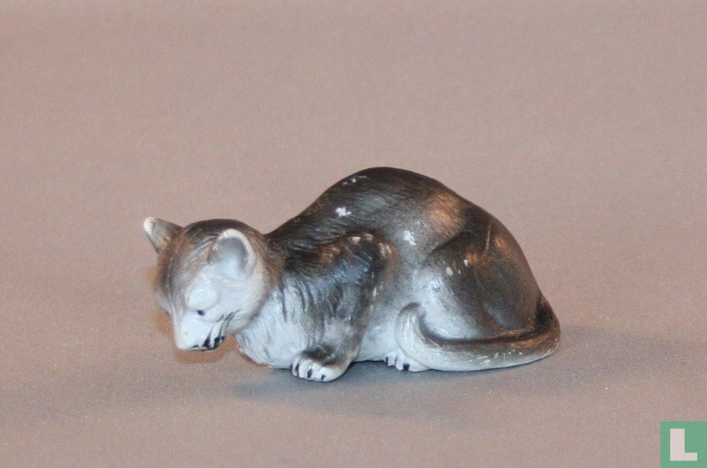 Gray cat lying