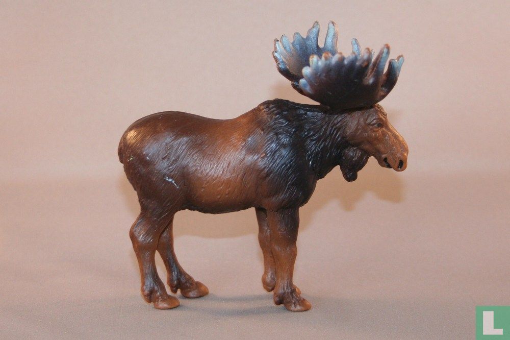 Moose