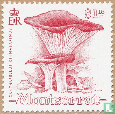 Mushrooms  