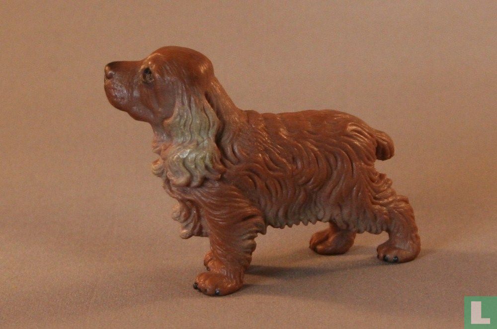 Cocker Spaniel
