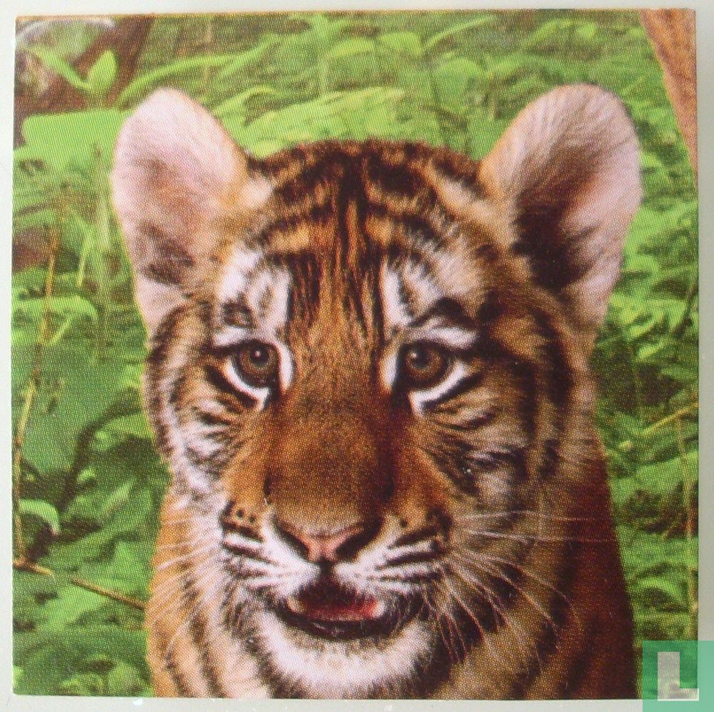 Troetels (Tijger)