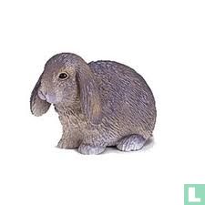 Lapin