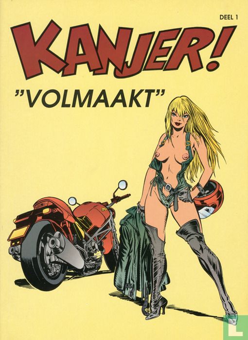Volmaakt