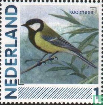 Kohlmeise