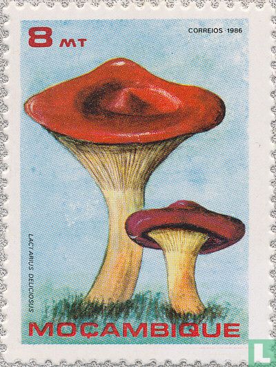 Champignons