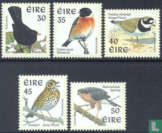 Birds