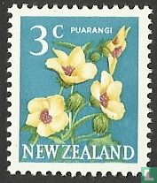Puarangi