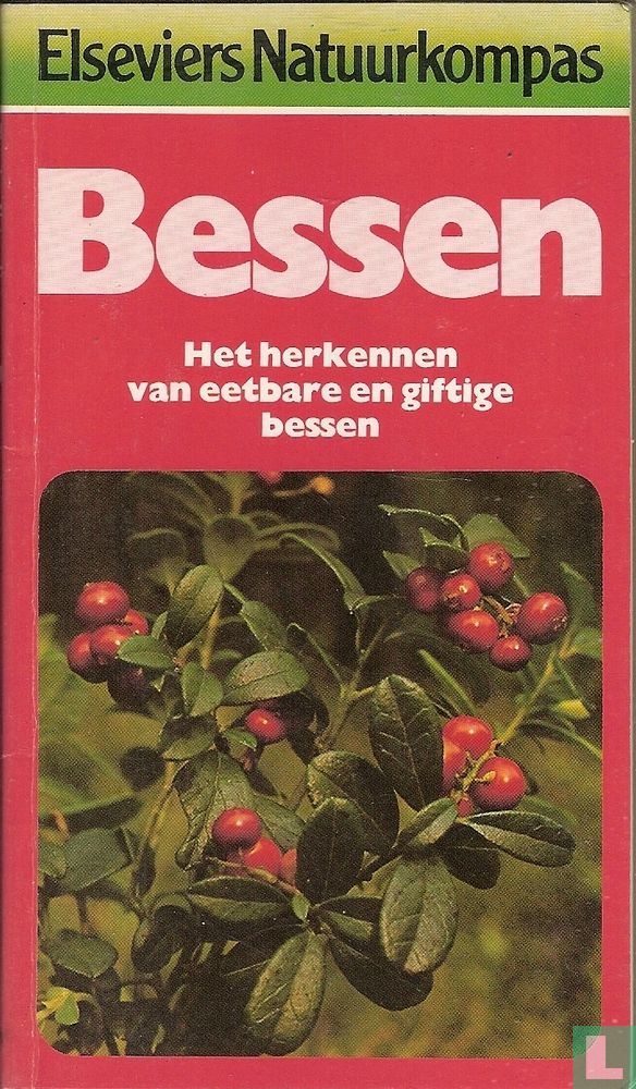 Bessen