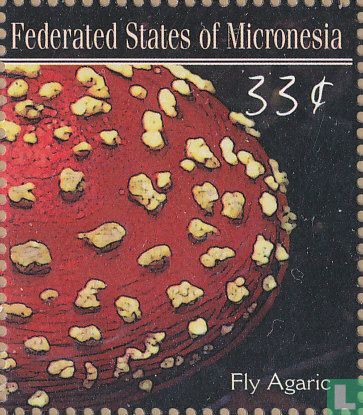 Champignons      