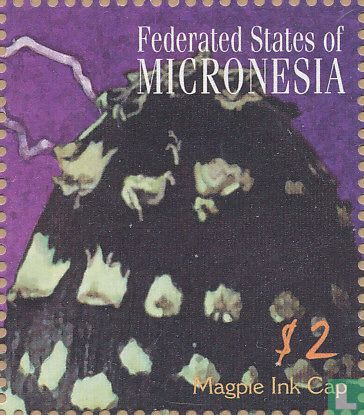 Paddenstoelen      