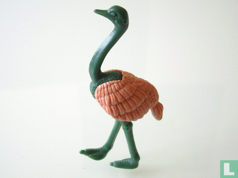 Struisvogel