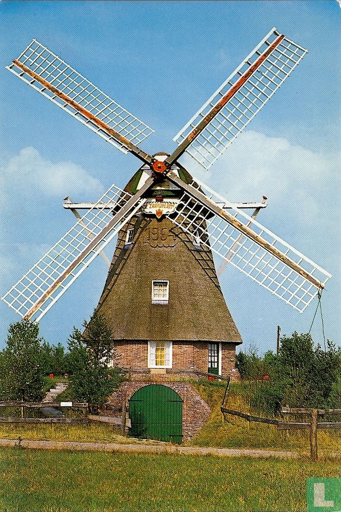 De Zaandplatte