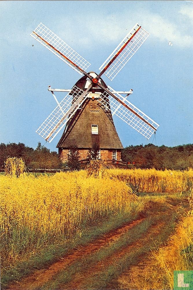 De Zaandplatte
