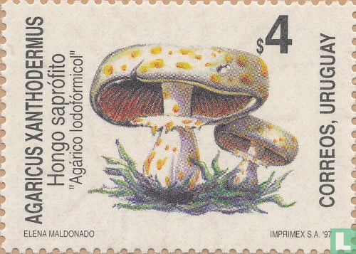 Mushrooms