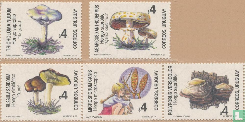 Mushrooms