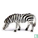 Zebre Broutant