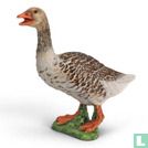 Grauwe gans