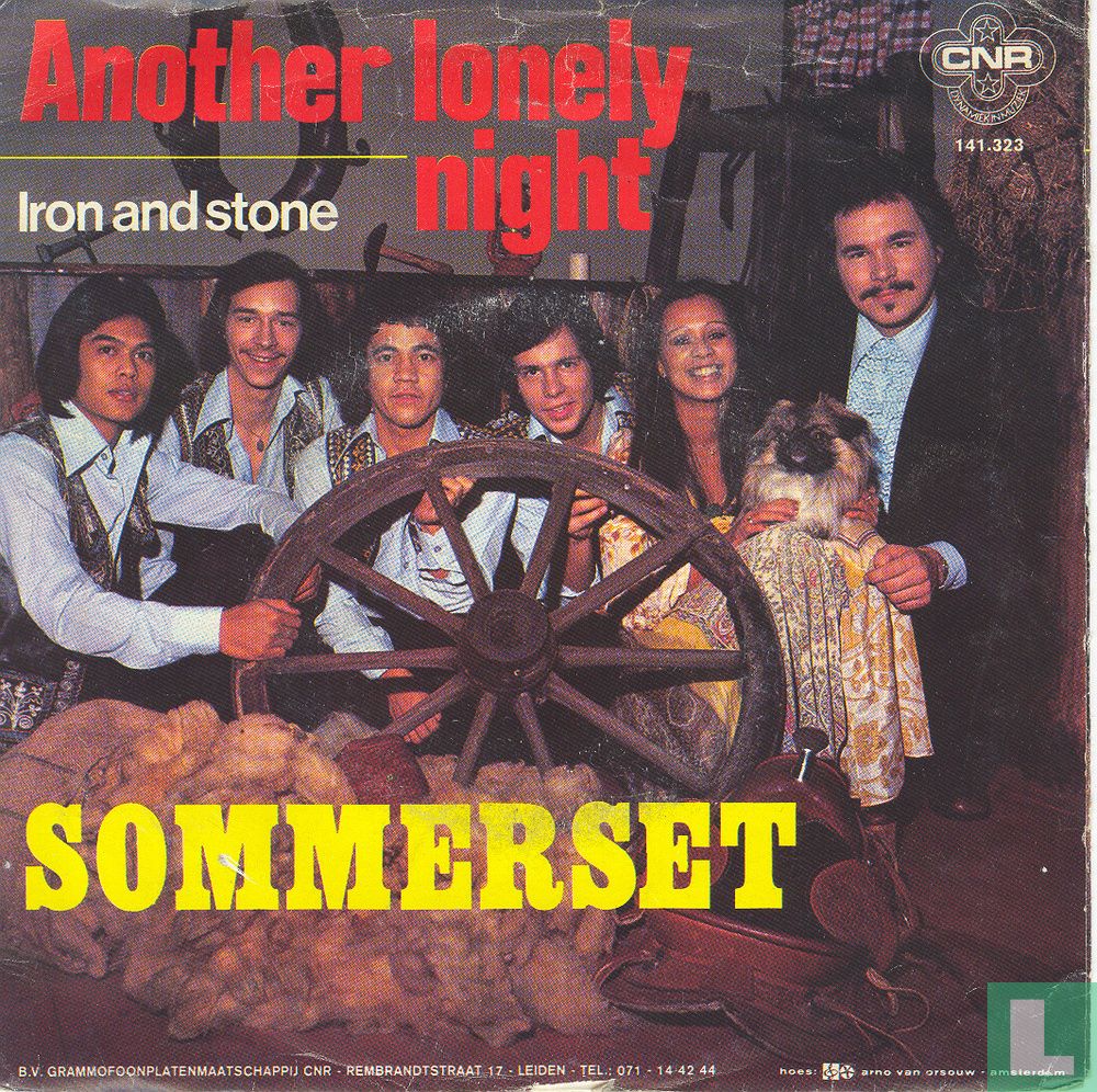 Another Lonely Night
