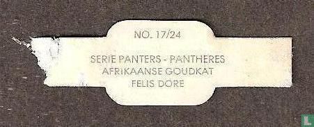 Afrikaanse goudkat