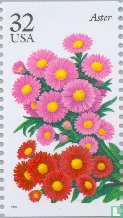 Garden Flowers