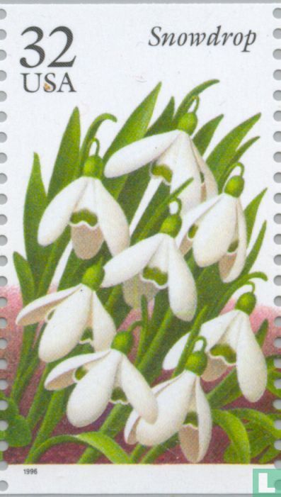 Fleurs des jardins