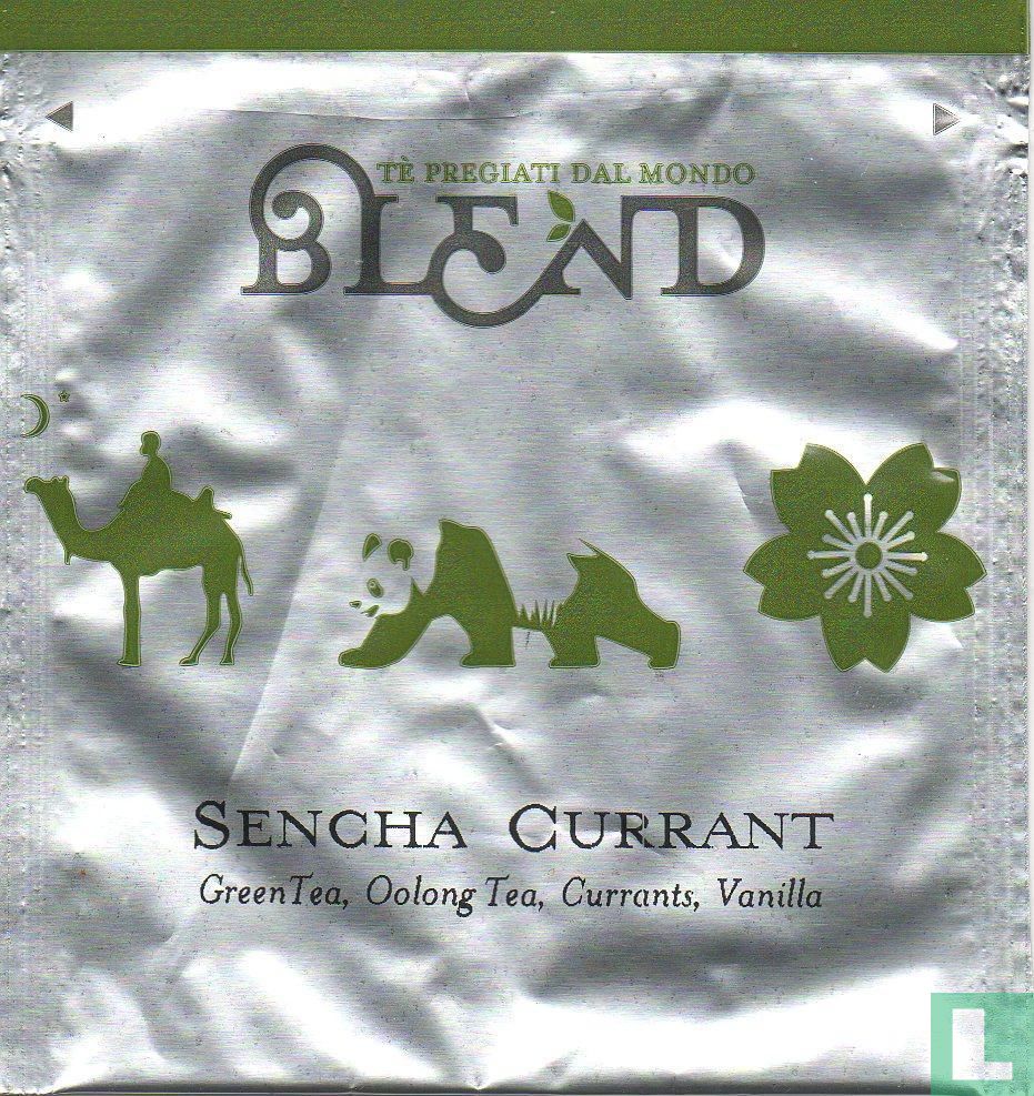 Sencha Currant
