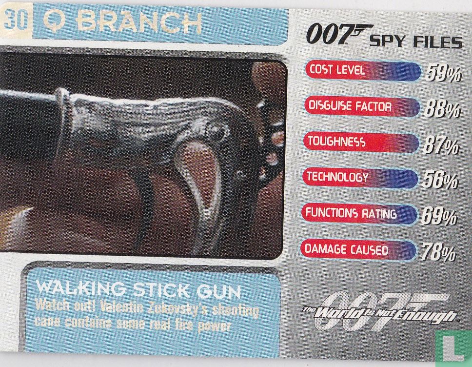 Walking stick gun
